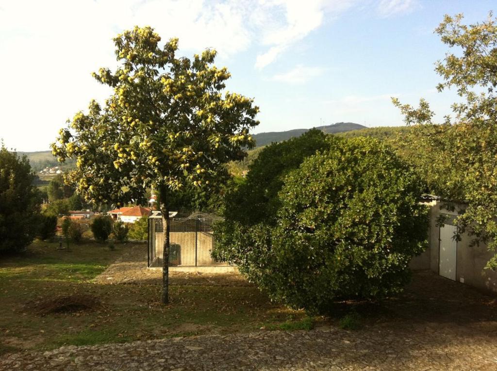 Villa Casa Boavista Paredes de Coura Exterior foto